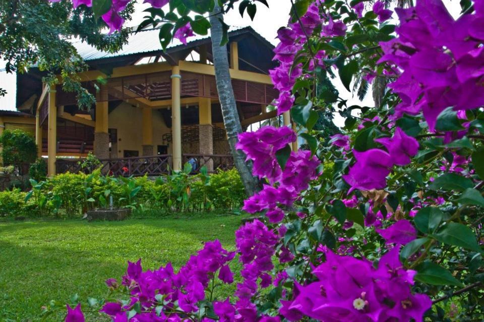 Crystal Paradise Resort Spa & Winery Narra ภายนอก รูปภาพ